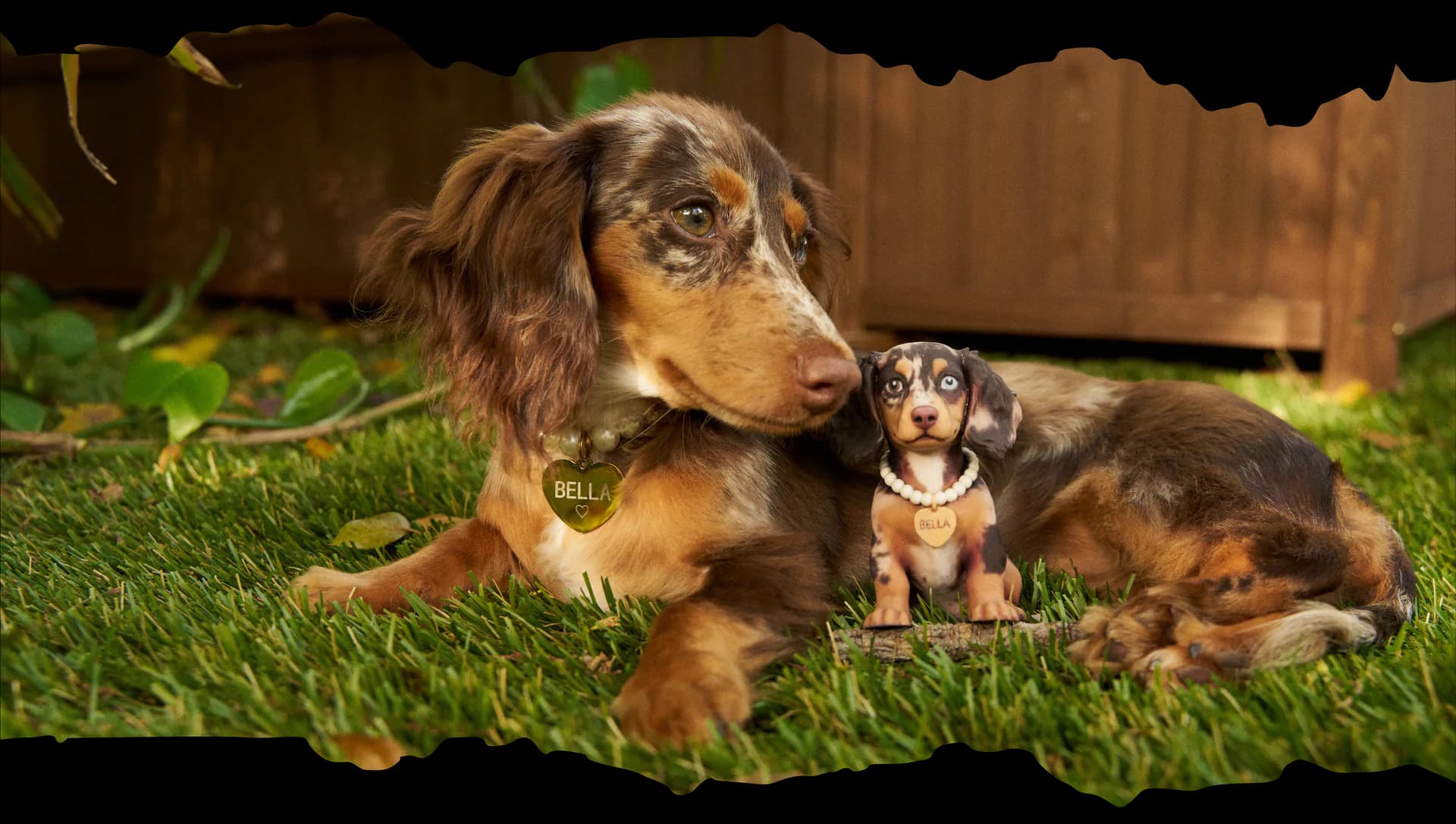 Bella the dachshund beside her personalized digxipop figurine