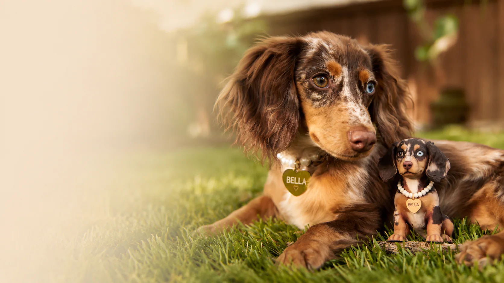 Bella, a real dachshund, meeting her matching custom pet figurine on the grass